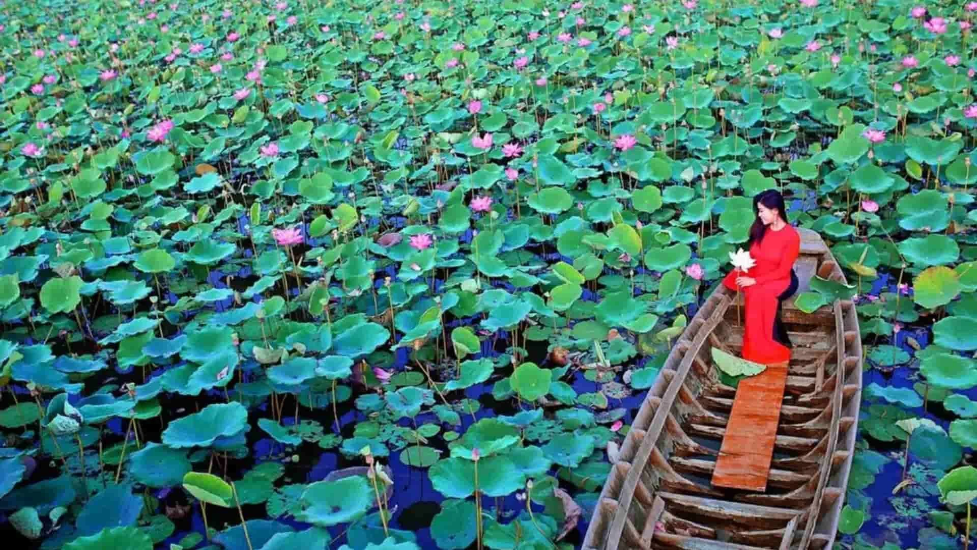 Du lịch Ẩm thực Đặc sản miền Tây Đồng Tháp liên hệ 0915326788 https://mientaynet.com/netnguoimientay/