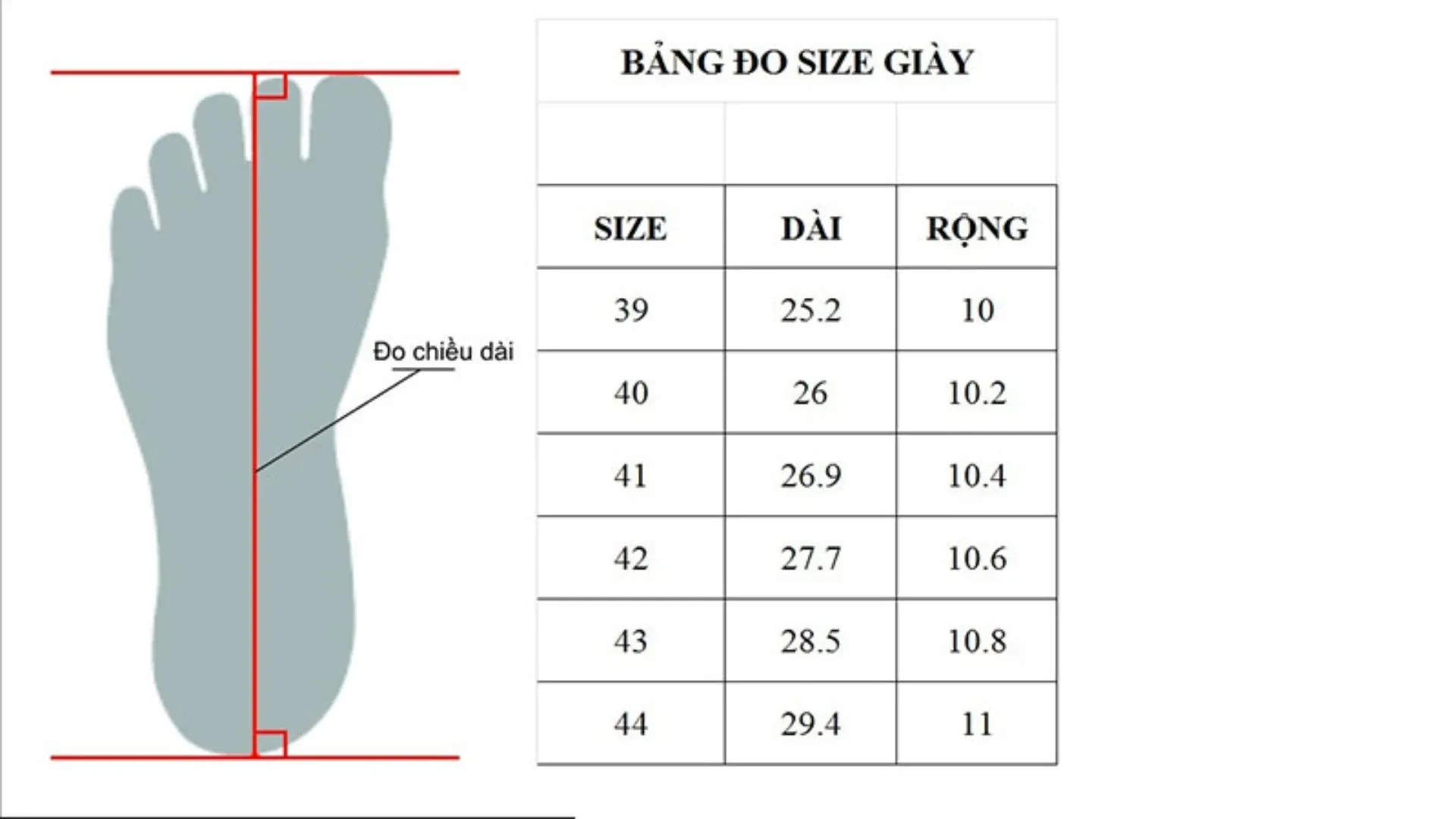 5-huong-dan-do-kich-co-giay-luoi-nam.webp