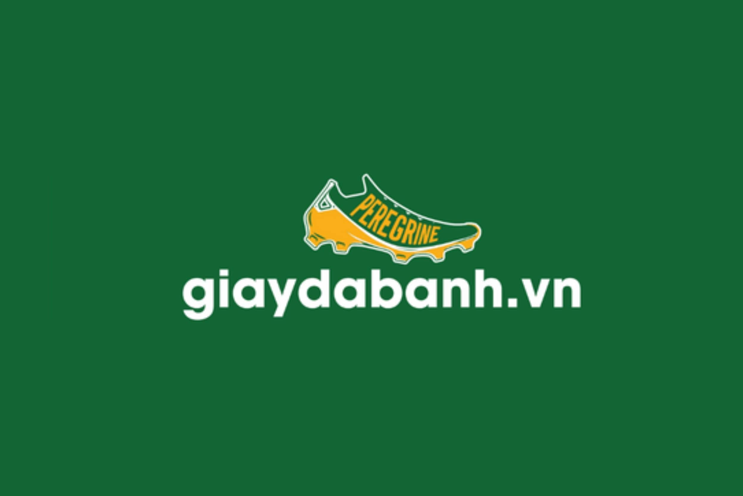 giaydabanh-logo