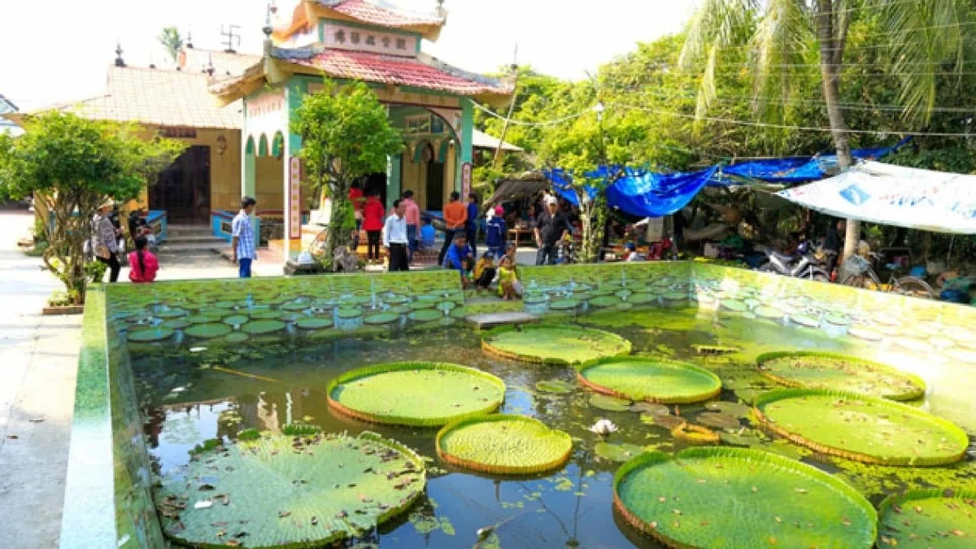 Du lịch Ẩm thực Đặc sản miền Tây Đồng Tháp liên hệ 0915326788 https://mientaynet.com/netnguoimientay/