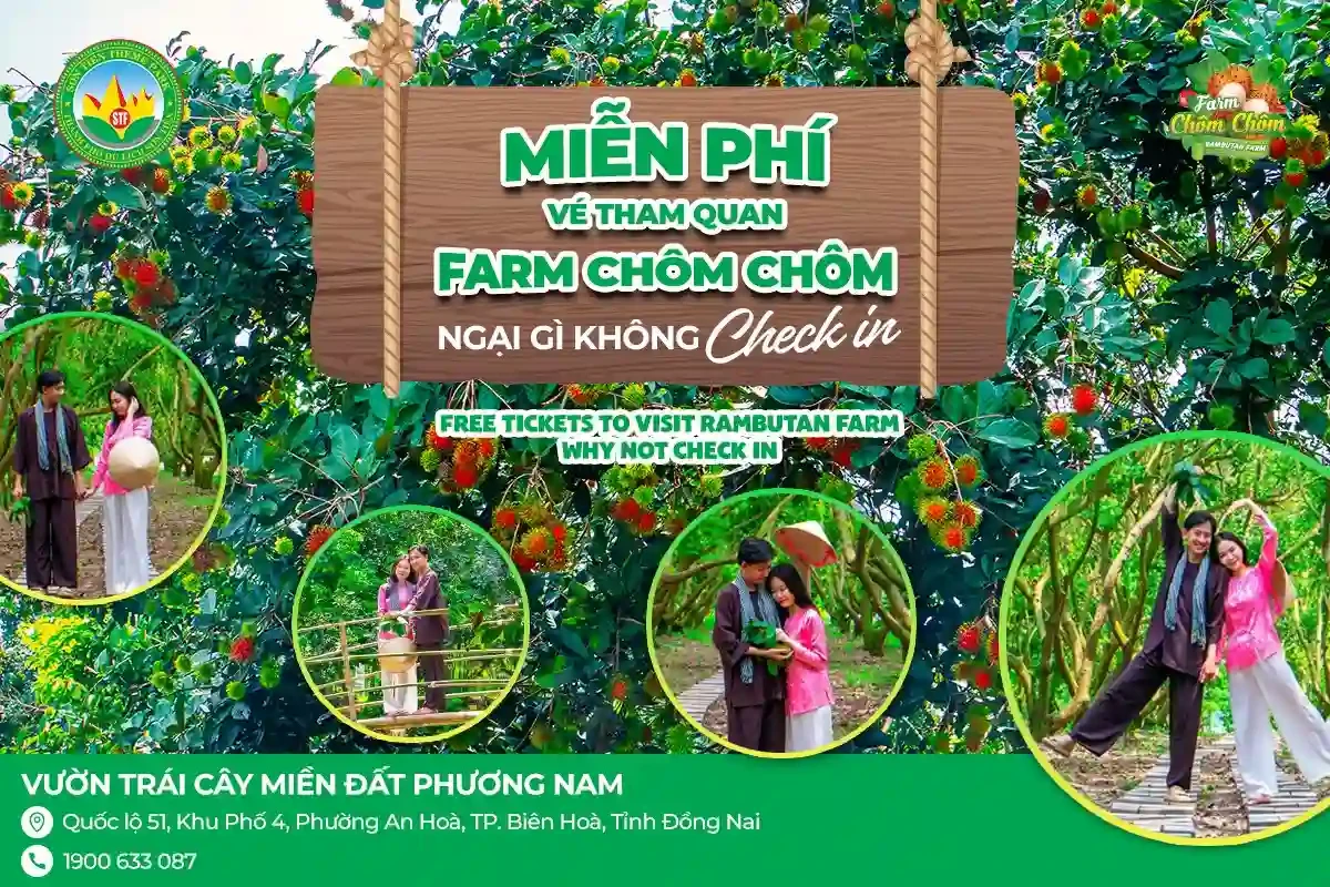 kham-pha-farm-chom-chom-son-tien.webp