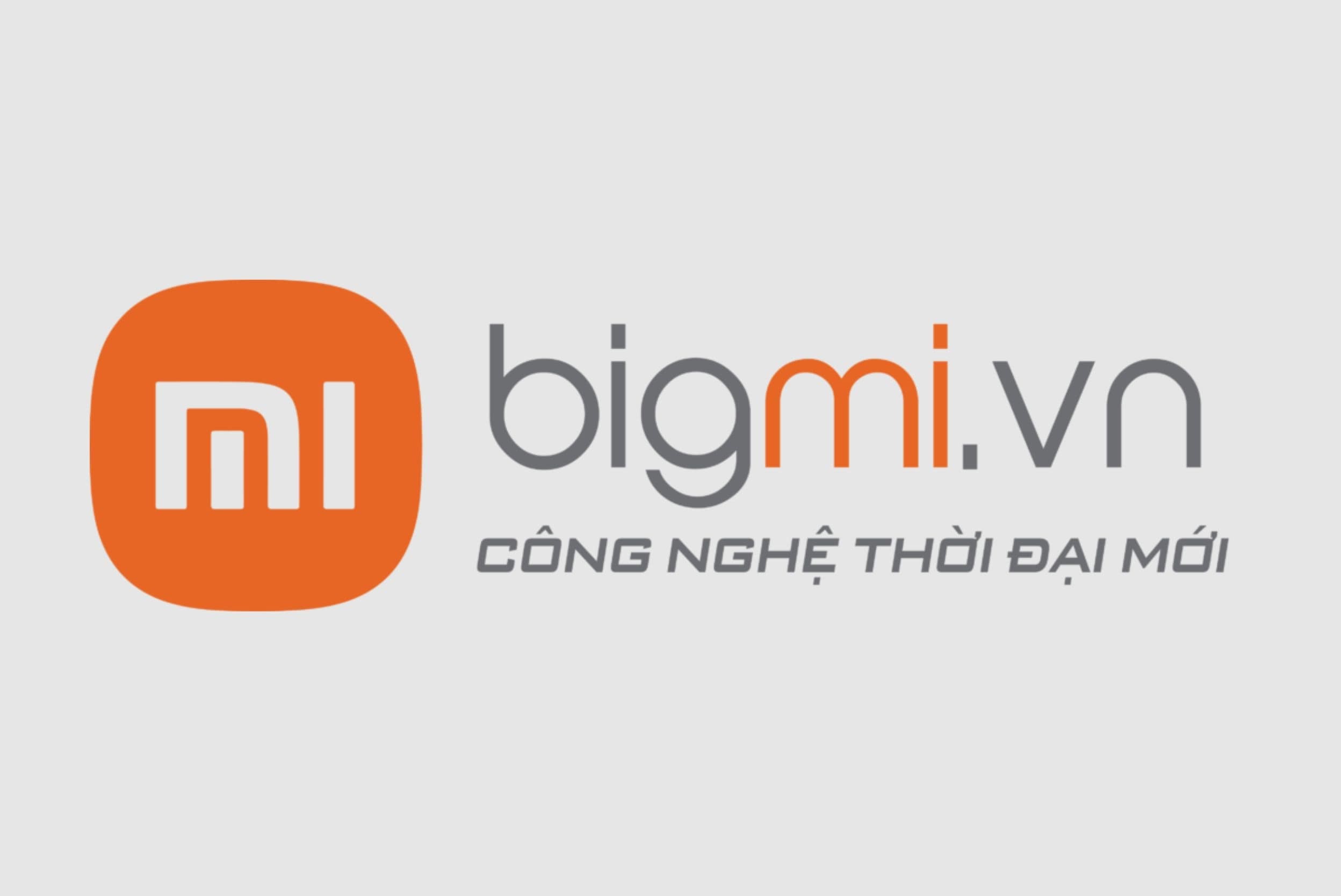 bigmi.vn-logo